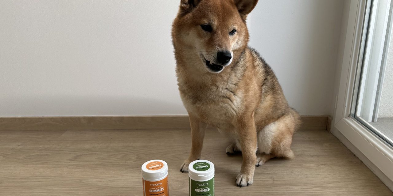L’avis de Sanga sur les gummies pour chien Franklin