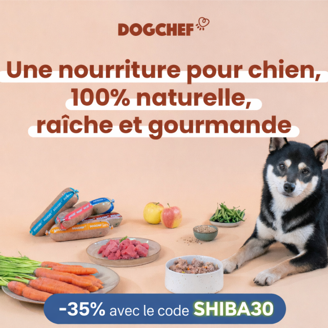 code promo dog chef