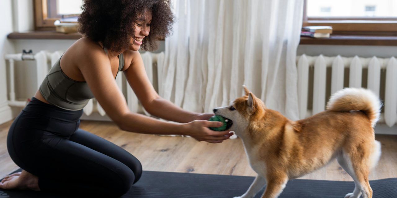 5 idées pour bien jouer avec son chien