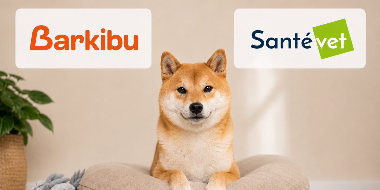 Barkibu vs Santévet : notre comparatif des 2 mutuelles pour bien choisir
