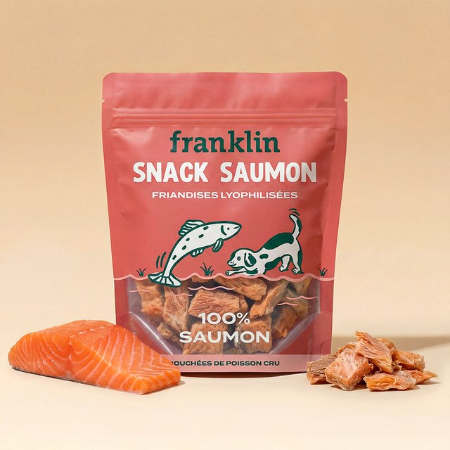 friandises lyophilisées saumon chien Franklin