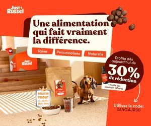 croquettes personnalisées justrussel