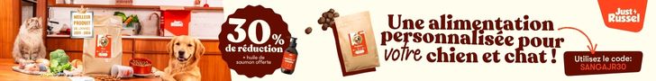 justrussel alimentation personnalisée chien