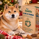 calendrier avent chien 2026