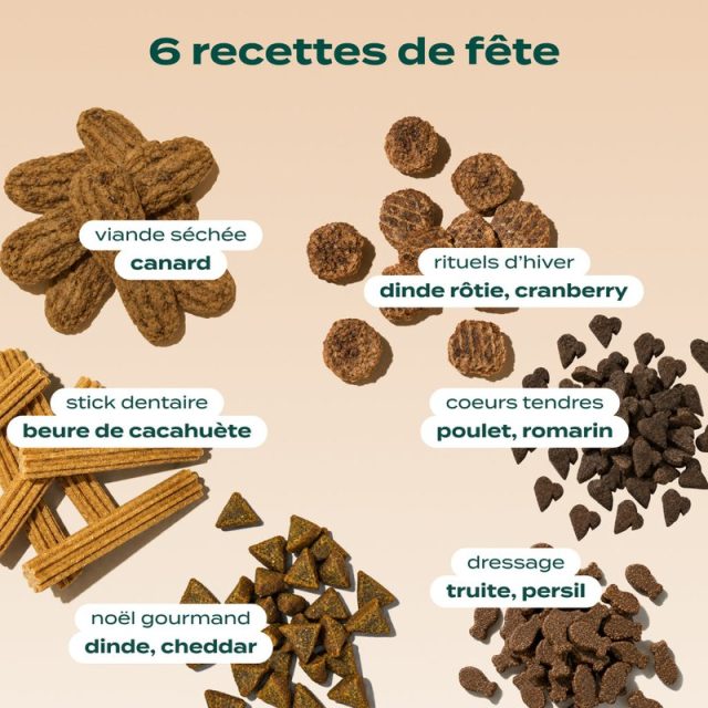 les 6 recettes de friandises du calendrier de l'Avent Franklin 2026